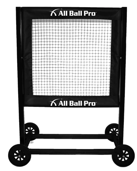 All Ball Pro Stinger X Rebounder: The Best Rebounder Out There.  Period.